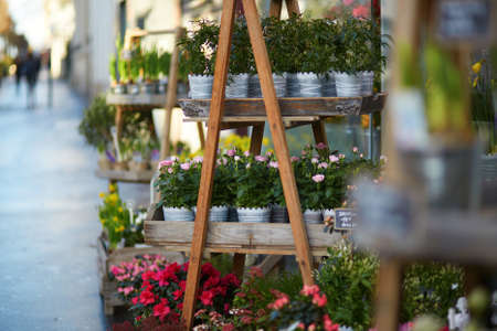 Outdoor flower shop in Paris, Franceの写真素材