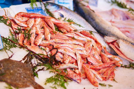 Fresh red mullet for sale on fish market of Paris, France