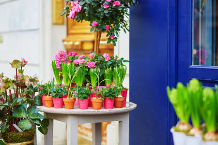 Fresh beautiful roses on a Parisian flower marketの写真素材