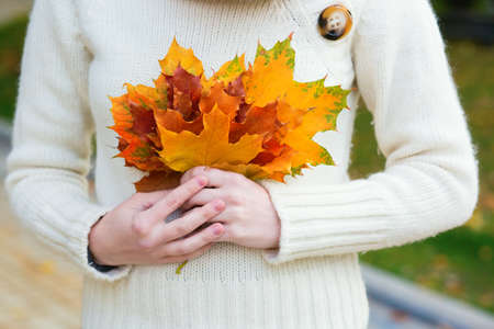 Young girl holding a bunch of colorful yellow and orange autumn leaves in her handsの写真素材
