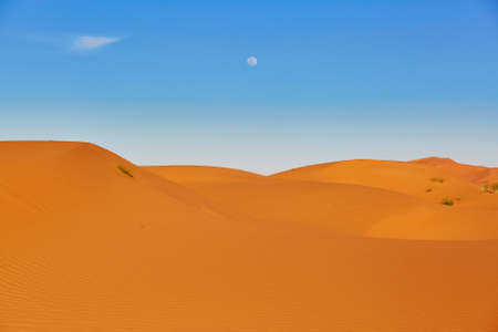 Sand dunes in the Sahara Desert, Merzouga, Moroccoの写真素材