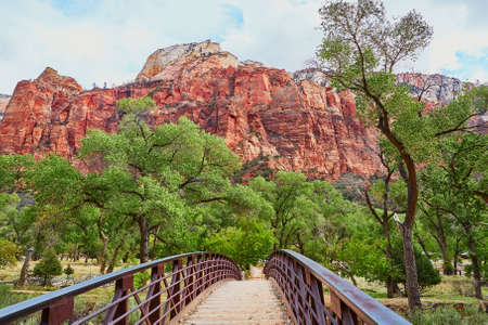 Scenic landscape in Zion national park, Utah, USA