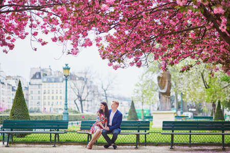 Young couple in love having a date under pink cherry blossom trees.の写真素材