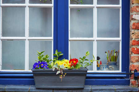 Blue window with colorful flowersの写真素材