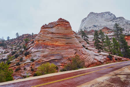 Scenic landscape in Zion national park, Utah, USAの写真素材