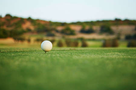 Closeup of golf ball on the greenの写真素材