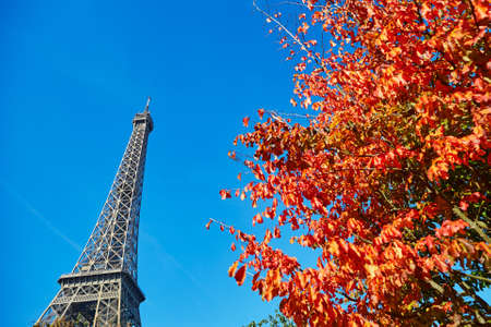 Eiffel tower with bright autumn leaves over the blue sky. Sunny autumn day in Paris