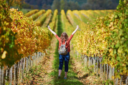 Woman tourist walking in Tuscan vineyards in Val d'Orcia, Tuscany, Italyの写真素材