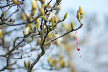 Martisor, symbol of the beginning of springの写真素材