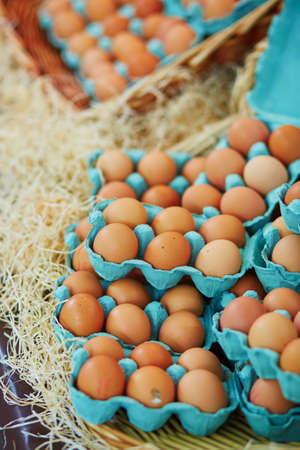Fresh organic eggs on farmers marketの写真素材