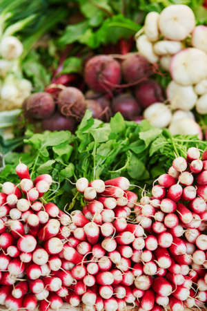 Fresh organic radish and beet-root on farmers market in Paris, Franceの写真素材