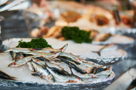 Many anchovy on fish market in Paris, Franceの写真素材