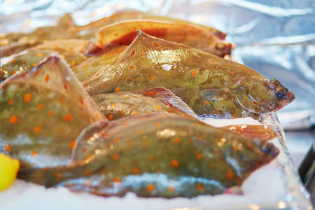 Many soles on fish market in Paris, Franceの写真素材