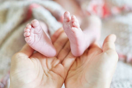 Mother holding newborn baby's little feet in her handsの写真素材
