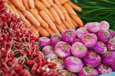 Large heap of fresh ripe organic carrots and turnips on farmer market in Paris, Franceの写真素材