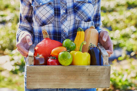 Woman holding crate with ripe vegetables on farm. Autumn, harvest and gardening conceptの写真素材