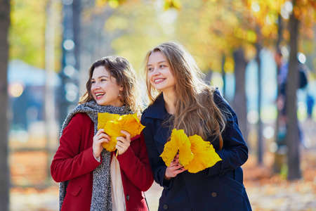 Two young girls walking in autumn park on sunny fall day. Friendship conceptの写真素材