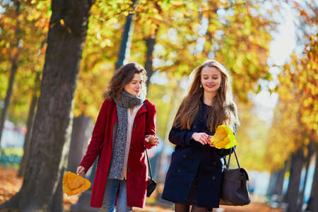 Two young girls walking in autumn park on sunny fall day. Friendship conceptの写真素材
