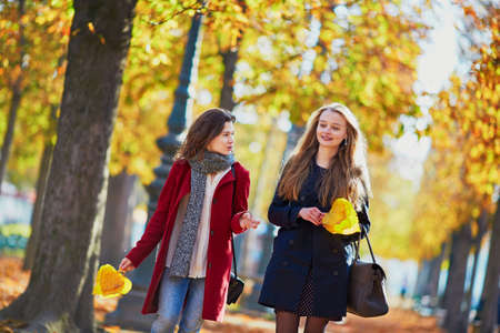 Two young girls walking in autumn park on sunny fall day. Friendship conceptの写真素材