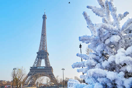 Christmas tree covered with snow near the Eiffel tower in Paris, Franceの写真素材