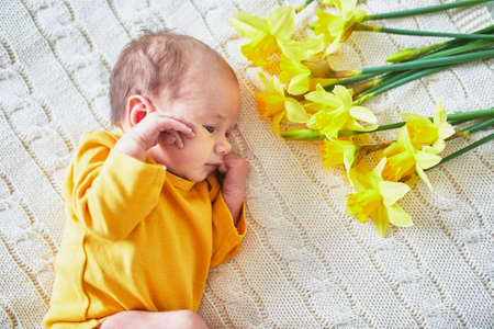 Newborn baby girl lying on knitted blanket with bunch of yellow narcissusの写真素材