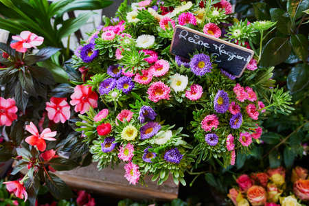 Bunch of daisies in French outdoor flower shop