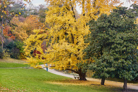Colorful autumn trees in Montsouris park, Paris, France on a fall dayの写真素材