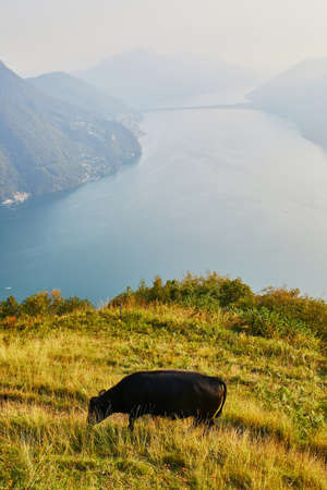 Scenic view to the lake Lugano from Monte Bre in Lugano, canton of Ticino, Switzerlandの写真素材