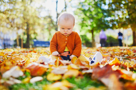 Cute little baby girl having fun on beautiful fall day. Child playing in park at very first autumn. Kid gathering yellow fall foliage. Outdoor autumn activities for childrenの写真素材