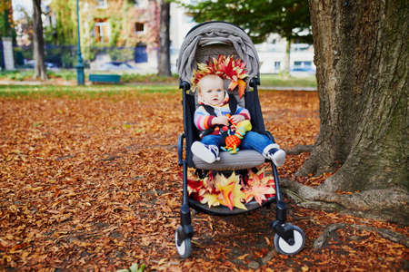 Adorable baby girl sitting in stroller with bunch of red maple leaves on sunny fall day in park. Autumn activities with kidsの写真素材