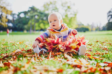 Adorable baby girl sitting on the ground with bunch of red maple leaves on sunny fall day in park. Autumn activities with kidsの写真素材
