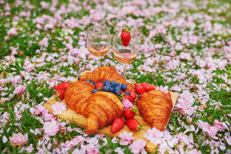 Beautiful picnic with rose wine, French croissants and fresh berries served for two on the grass covered with pink fallen petals and flowersの写真素材