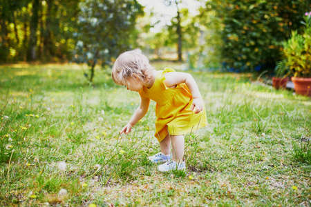 Adorable toddler girl in yellow dress having fun in park or forest and picking flowers on a summer day. Little kid exploring nature. Outdoor activities for kidsの写真素材