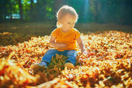 Adorable toddler girl sitting on the ground in large heap of fallen leaves and playing with them on...