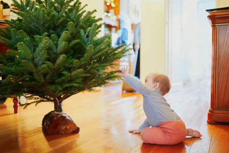 Little baby girl sitting on the floor and touching the branches of Christmas tree. Celebrating seasonal holidays with kids. Child's very first New Yearの写真素材