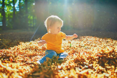Adorable toddler girl sitting on the ground in large heap of fallen leaves and playing with them on a warm and sunny autumn day. Outdoor fall activities for kidsの写真素材