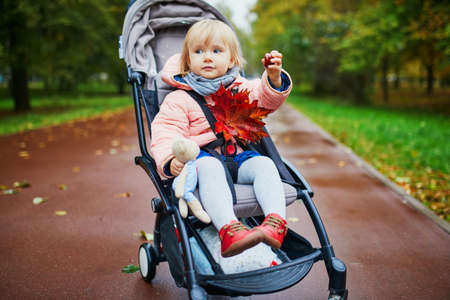 Adorable little girl in pushchair with red maple leaves. Toddler having fun outdoors on a fall day....