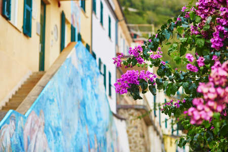 Picturesque street in Riomaggiore, one of five famous villages of Cinque Terre in Liguria, Italyの写真素材