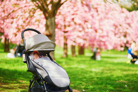 One year old baby girl sleeping in pushchair in park on a spring dayの写真素材