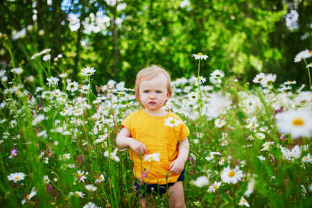 Adorable baby girl amidst green grass and beauitiful daisies on a summer day. Little child having fun outdoors. Kid exploring natureの写真素材