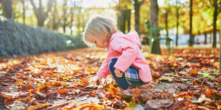 Adorable toddler girl picking chestnuts in Tuileries garden in Paris, France. Happy child enjoying...