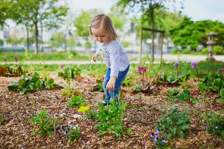 Adorable toddler girl looking at growing flowers on flower bed. Small child learning how to grow plants. Gardening activities for kidsの写真素材