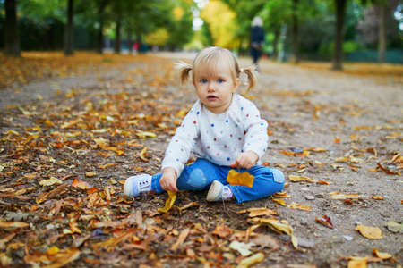 Adorable cheerful toddler girl with pigtails gathering yellow autumn leaves in park in Paris,...