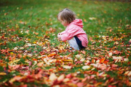Adorable cheerful toddler girl gathering autumn leaves in Tuileries garden in Paris, France. Happy...