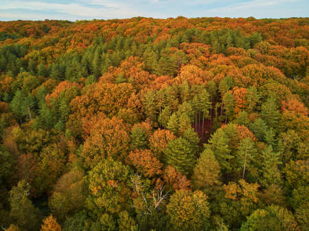 Scenic aerial view of autumn forest in northern France, Yvelines, France