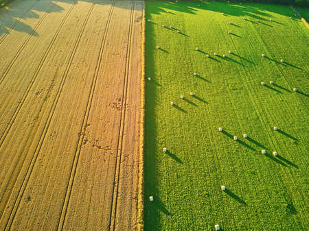 Aerial view of pastures and farmlands in Brittany, France. Beautiful French countryside with green...
