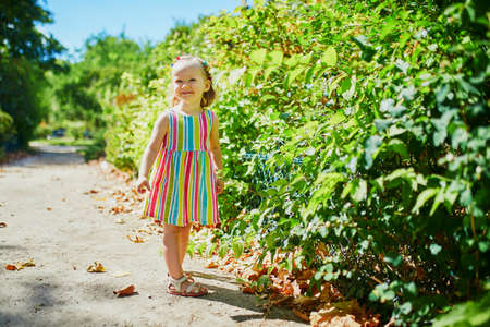 Adorable toddler girl having fun outdoors on a sunny summer day. Happy child walking in park. Outdoor activities for kidsの写真素材
