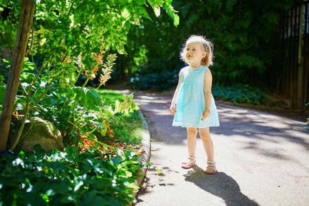 Adorable toddler girl having fun outdoors on a sunny summer day. Happy child walking in park. Outdoor activities for kidsの写真素材