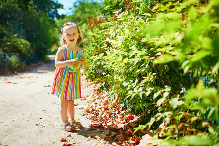Adorable toddler girl having fun outdoors on a sunny summer day. Happy child walking in park. Outdoor activities for kidsの写真素材