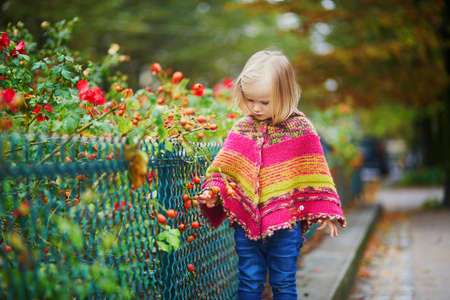 Adorable toddler girl walking in park on a fall day in Paris, France. Child enjoying autumn outdoors.の写真素材